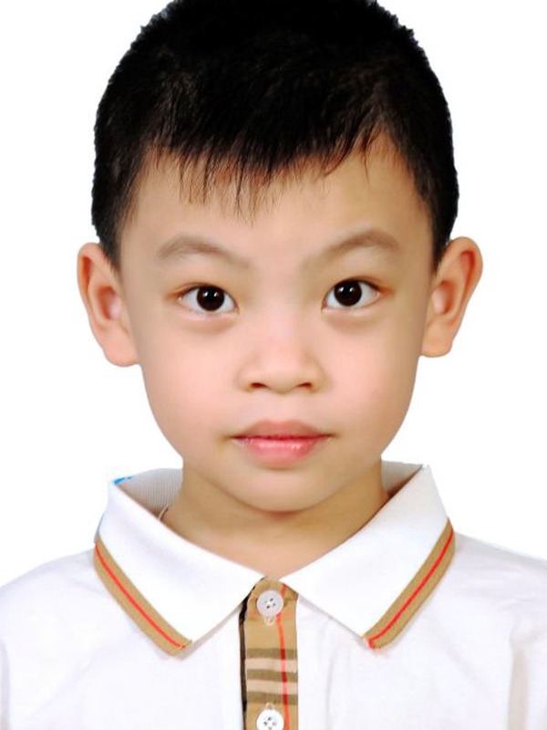 Le Hung Manh