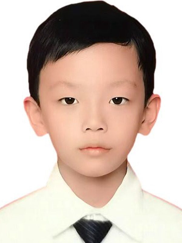 Lei, Linfeng